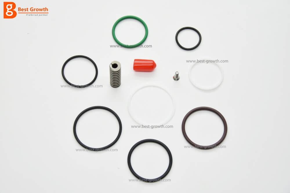 Injector Repair Kits 801024 For Bosch-IVECO 701 Series | best-growth